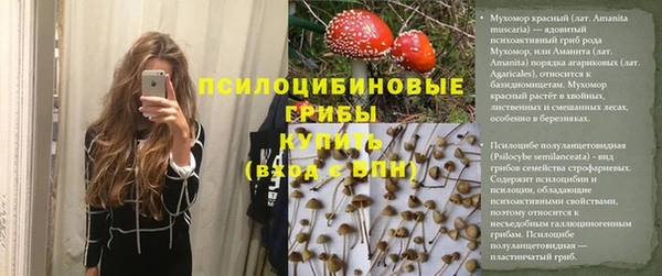 мдпв Тутаев