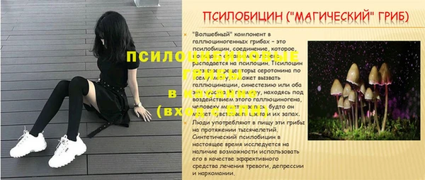мдпв Тутаев