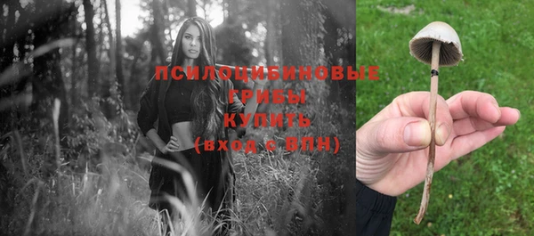 мдпв Тутаев