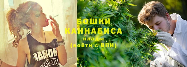 дмт Тында