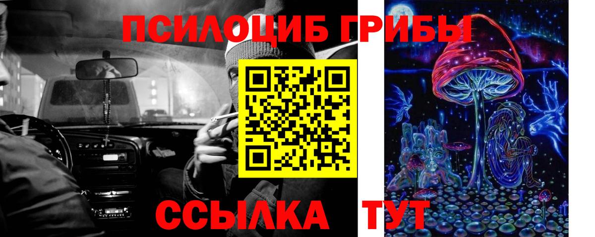 Галлюциногенные грибы Cubensis  Вход с VPN  Одинцово  Псилоцибиновые грибы ЛСД 